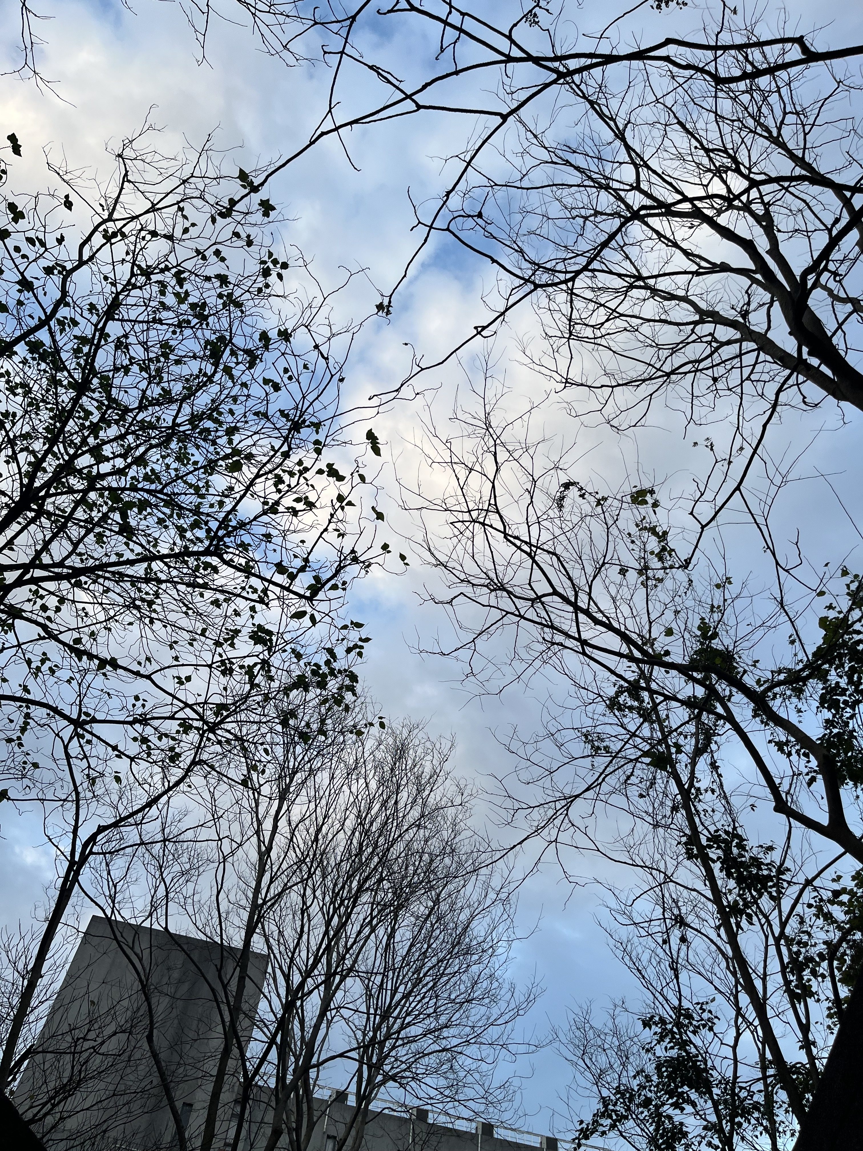 《這一篇，寫給身為男性的你》——男以訴說的憂鬱文化
